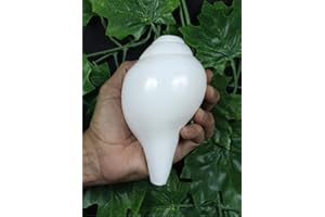 ASHIRWAD Original Blowing Shankh Vamavarti Dattatreya – Conch Shells – Puja Ritual – Plain Pooja Shankh – Shankhnaad (Shankh-15)