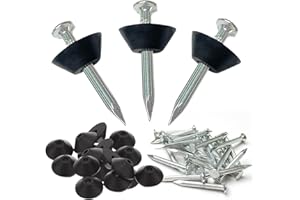 RHBHY Clou Membrane Fondation 100pcs Clous Protection Soubassement Clou Beton pour Membrane de Fondation et Soubassement 3x30 mm(100, Longueur du clou: 30mm)