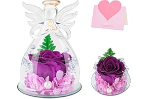 ANBET Eternal Rose in Glass Dome Christmas Purple Gifts for Women Angel Forever Rose Real Flowers Preserved Rose Valentines Day Birthday Mothers Day for Mum