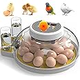 Automatic Egg Incubators for Hatching 18-60 Eggs with Temperature & Humidity Control, Automatic Turning Chicken Egg Incubator with Egg Candler, Suitable Hatching for Chicks, Duck, Quail
