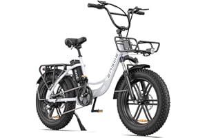 ‎ENGWE ENGWE E Bike Herren Elektrofahrräder-Ebike mit 48V 13Ah Batterie, E Bike 20 * 4.0 Zoll, E-Bike 7-Gang Getriebe mit LCD-Display, E Bike 250W Motor & 25km/h, Reichweite bis zu 150km L20/L20 Boost