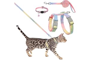 Pinenuts Juego de arnés y plomo para gatos, arneses y correa a prueba de escape para gatos, collares de gato suaves y ajustables, arnés de gatito arcoíris para caminar al aire libre