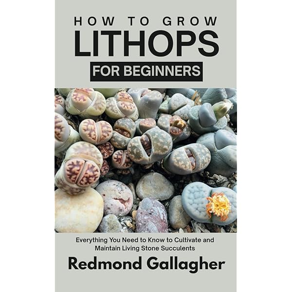 Lithops Treasures of Loveliness リトープス 洋書 Lithops: Treasures of the Veld: Steven A. Hammer