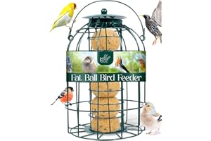 Pelle & Sol Bird Feeder - Suet and Fat Ball Feeder for Wild Birds - Compact Iron Design for Bird Feeders Hanging Station - Weather Resistant, Squirrel Proof, Easy Clean, Hang Anywhere Outdoor Feeders