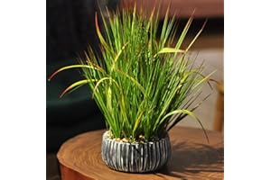 AlphaAcc Fake Plants Greenery Ficus Leaf Artificial Plant Indoor Bathroom Potted Faux Plant Decor with White Marble Planter for Kitchen Counter Bedroom Office Coffee Table Decoration