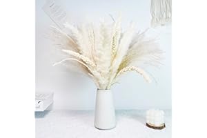 NSRHMJ Ramos de Flores Secas Naturales Decoración,Pampas Secas Decoracion,Ramas Secas Decorativas,Hierba de Pampa Esponjosas para Arreglos Florales de Boda Decoración del Salon Hogar (58 Piezas)