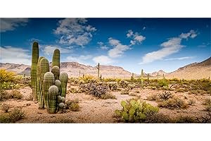 MIRRORANG 180x61cm Terrarium Background Blue Sky Desert Oasis Cactus Reptile Habitat Background Vinyl Background