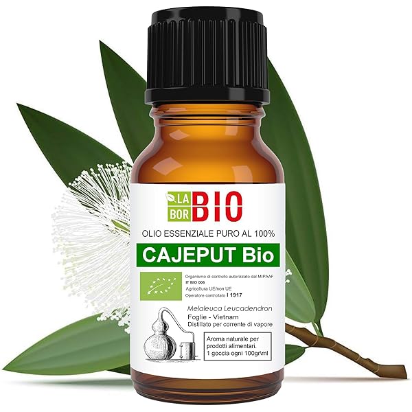 Cajeput BIO ätherisches Öl | Melaleuca Leucadendron | 100% Naturrein