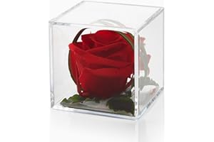 PETALS AND ROSES Preserved Real Red Rose in Luxury Cube Display Box - Eternal Rose in Box - Real Red Rose Gift. Thoughtful Gift Birthday Valentine's Day