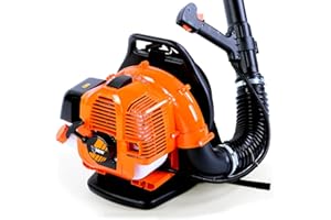 Soplador de Mochila de Gasolina FUXTEC FX-LB133T, más de 300km/h (186mph), 0.9kW, 1.2hp, Motor de 2 Tiempos de 33cc, Tanque (650ml), Almohadilla - fácil de soplar Las Hojas o la Nieve