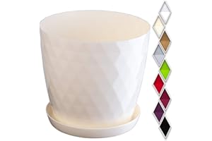 KADAX Pot de Fleurs en Plastique avec Soucoupe Intégrée, Pot de Plante pour Une Décoration Florale Moderne dans l'espace Interieur (16 cm, Ecru)