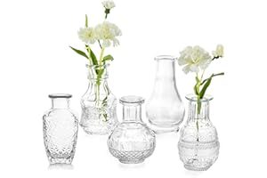 Hewory Mini Vase Transparent Decoratif Ensemble de 5 Pièces, Décoration Moderne Petit Vase en Verre Vase Salon Vase, Créatif Mariage Maison Herbe de La Pampa Vase 15cm