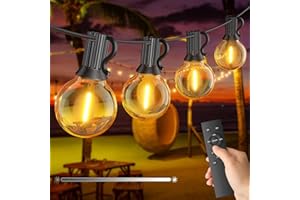 FANSANMY Guirlande Lumineuse Exterieure Dimmable, 15M Guirlande Guinguette Exterieur avec Télécommande, 25+1 Ampoules Incassables, IP45 étanche, 2700K, pour Jardins, Cours, Bistrots, Maisons