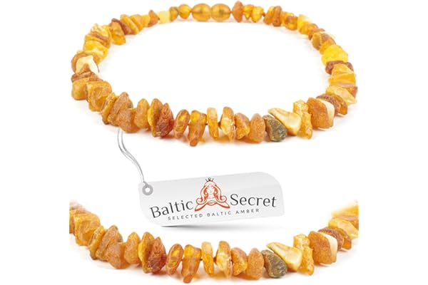 Collier en ambre pour chiens et chats, de 20 cm à 68 cm, collier anti-tiques, protection contre les tiques
