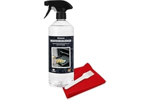 DIE SEIFENBLASE cleanerist I 1000 ml Nettoyant Four et barbecue avec tête de pulvérisation I löst hartnäckigste verkrustungen et graisses I selbsttätiger Nettoyant pour four I Grille I Lèchefrite I Friteuse