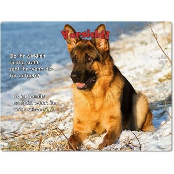 Warnschild Aus Aluminium – Motiv „Bordeaux Dogge Security“, 20x30 Cm, Wetterfest, Mit 4 Bohrungen, Made In Germany