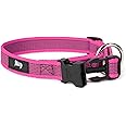 Julius-K9 Color and Gray Collar, 20 mm (27-42 cm), Pink-Grey