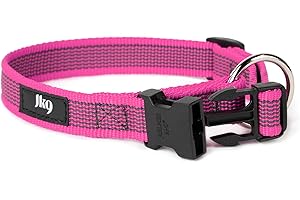 JULIUS-K9 Collar Color & Gray, 20 mm (27-42 cm), Rosa-Gris