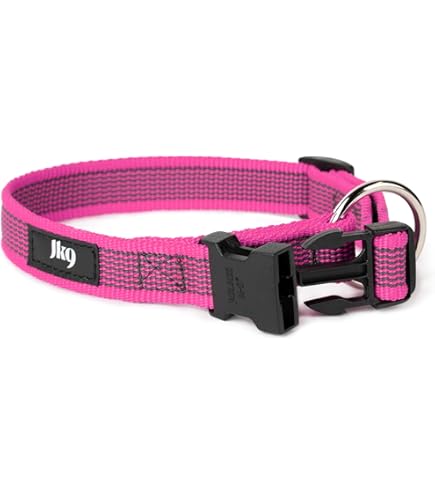 FAVPET Collare Per Cani In Biothane Con ID Tag QR, Collare Impermeabile Con Fibbia In Metallo, Collare Regolabile Per Taglia Grande, Media, Piccoli, Collari Per Cuccioli Colorati (XS, Verde