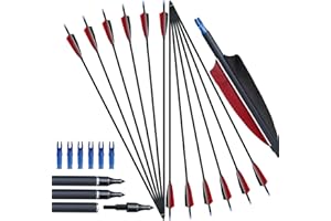 D&Q Flèches en Carbone de 31 Pouces avec 4 Plumes de Dinde Spine 500 Flèches de Chasse pour Arc à poulies Recurve 12 Pack