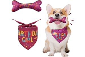 RANYAKE Hund Geburtstag Dreieck Lätzchen,Hund Geburtstag Bandana,Geburtstag Hundehalstuch,Geburtstag Knochenspielzeug mit Hund,Geeignet für kleine, mittlere und große weibliche Hunde und Katzen