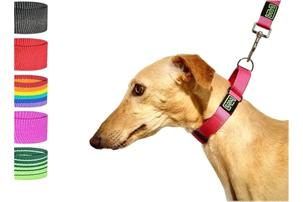 bub's Collar Martingale - Collar para Perro, antialérgico y Suave.Diseñado para Todo Tipo de Razas de Perro y Especialmente para Galgos y Podencos (Rosa, M 25 mm Ancho)