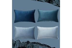 Topfinel Housse Coussin Bleu 30x50 cm Décoration Salon Chambre Enfant Bebe Lot de 4 Velours Doux Housse de Coussin pour Canapé Lit Fauteuil de Bureau Scandinave Double Face à Motif Uni Jardin Déco