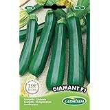 Germisem Zucchini DIAMANT F1