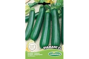 Germisem graines Courgette DIAMANT F1
