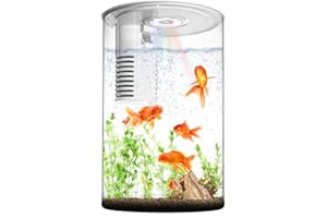 Fish Tank Night Light, Zingbabu 3 Gallon Aquarium Starter Kit with Full Spectrum Aquarium Light and Filter For Small Fish Betta Kids Room Desktop Decor White