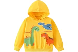 Pilipulu Sweats à Capuche Garçon Sweatshirt de Sport à Capuche Enfant Pull en Coton Dinosaure pour Garçon Hoodie Manches Longues pour Enfants 3-8 Ans