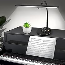 Roland dubbel LED lampje met clip warmwit - Timmer Muziek Beverwijk