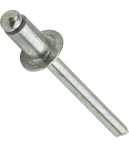 BCP Fasteners 100 Qty 304 Stainless Steel Blind Rivets (#6-4) 3/16 Diameter x 1/4 Grip (BCP178