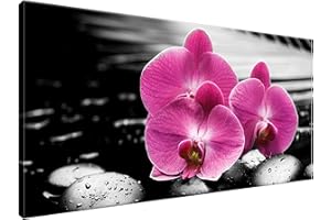 Estika Leinwand bilder - Rose Orchideen, Schwarz weiß Hintergrund - 115x55 cm, 1 teilige kunstdruck - Wandbilder wohnzimmer, schlafzimmer, Moderne wanddeko, Bild auf leinwand - 1380A_1AE