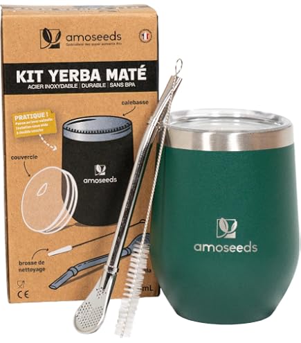 Tasse à Maté Moderne 354mL En Acier Inox Double Paroi - Avec Paille Et Brosse Isotherme