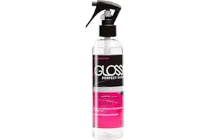 BeGLOSS Perfect Shine Spray Premium 250 ml – Laca de látex – Brillo máximo – El lubricante para el pulido y cuidado de las prendas de goma y látex.