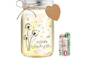 HSDSH LED Flaschenlicht Pusteblume, kleine Wunscherfüller Geldgeschenke Verpackung, Glück verschenken zum Geburtstag Reisen Hochzeit Jugendweihe Konfirmation Taufe, Geschenkidee für Frauen Freundin