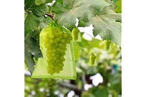 HOECMRHP 50 Stück Trauben-Schutzbeutel 23X15cm | Organzabeutel mit Zugband: Sind Einfach Anzubringen | Zum Schutz vor Wespenfrass, Vögel, Kirschessigfliege und andere Insekten | Grün