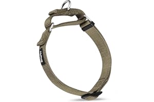 Hyhug Pets Solid Color Sturdy Nylon Escape-proof Martingale Dog Collar for Medium Boy and Girl Dogs - Walking Training Daily Use. (Medium, Military Green)