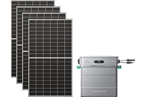 Zendure Balkonkraftwerk mit Speicher, SolarFlow 800 Pro mit 2640W Solar Eingang, 1000W AC-Laden, 800W Ausgang, KI-Energie Management System, 1,92 kWh, 2000W Bifacial Solarmodule