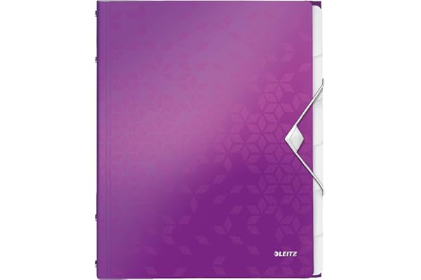 Leitz Trieur A4, Contient jusqu'à 200 Feuilles, Index Intégré à 6 Onglets, Fermeture Élastique, Violet Métallisé, WOW, 46330062