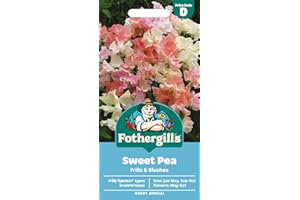 MR FOTHERGILLS Fothergill's Sweet Pea Frills & Blushes Flower Seeds, 20 Seeds, Sow: Jan-May, Sep-Oct, Pink/White