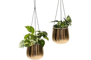 OLLY & ROSE Gold Hanging Plant Pots Set 2 (Small)