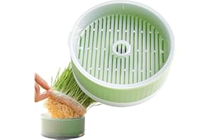 Rianpesn Hierba para Gatos - Plantador Hierba gatera sin Suelo - Bandeja germinación Desmontable, Caja Hierba sin Suelo para Ayudar a la digestión, decoración del hogar