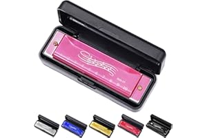SUNBILIEN 10 hole harmonica, silver full scale metal mini C-key harmonica, suitable for adults, Thanksgiving and Christmas back to school gifts (Rose red)
