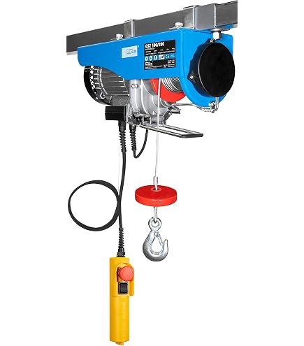 VEVOR Elektrische Katrol – 200 Kg Hefvermogen, Dubbele Kabel, Bediening Via Afstand (4,2 M Kabel / 100 M Draadloos), Noodstop, Ideaal Voor Garage En Werkplaats