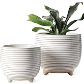 LE TAUCI Ceramic Planters with Feet, Set of Small Pots 12.5+16cm Diameter, Indoor Decorative Pots with Drainage Hole, Pack of