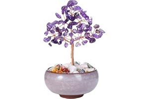 Jovivi Arbre de Vie Améthyste Pierre Naturelle Gemme Feng Shui Figurine avec Base Bol de Céramique Guérison Reiki Cristaux Équilibre Bibelot Objet Décoration Ornement pour Bureau Chambre (Améthyste)