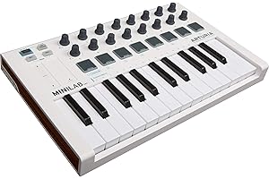 Arturia MiniLab MkII - Tastiera controller 25. Promozione speciale a tempo limitato. Include Mini V, Stage 73 V e Rev PLATE-140