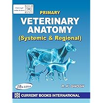 Buy Primary Veterinary Anatomy: Systemic and Regional 10 Edition